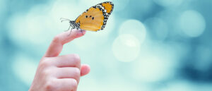 So sanft wie ein Schmetterling - sind die Berührungen und Druckqualitäten im Creative Healing